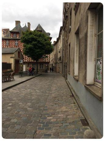 Le Celestia - Centre Historique - Lägenhet Rennes Exteriör bild